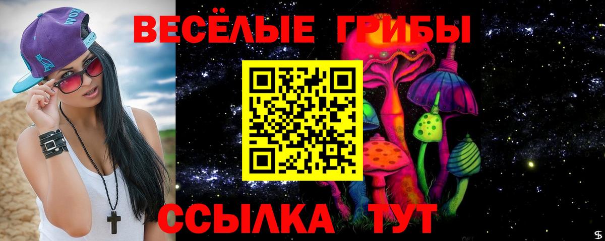 Псилоцибиновые грибы мицелий Богданович