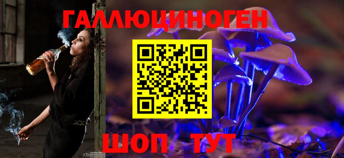 Галлюциногенные грибы Cubensis  Вход с VPN  Псилоцибиновые грибы Psilocybine cubensis  Богданович 