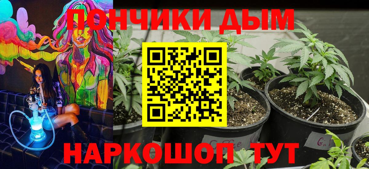 Канабис Ganja Богданович